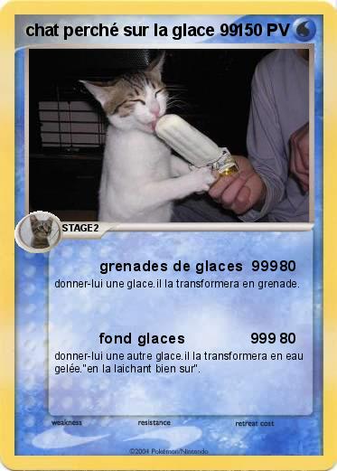 Pokemon chat perché sur la glace 99