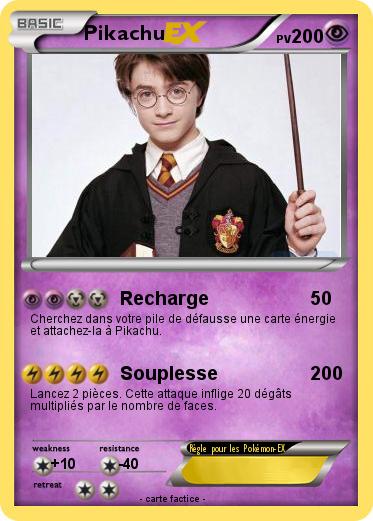 Pokemon Harry Potter