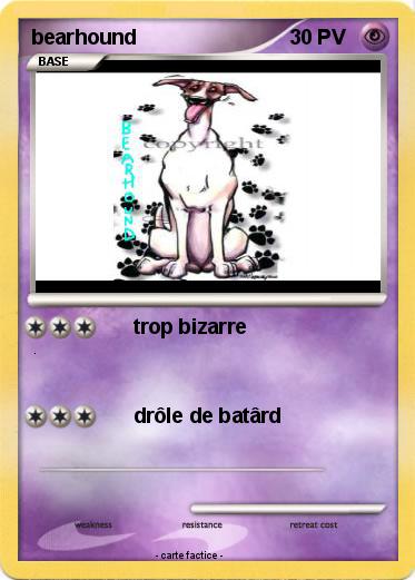 Pokemon bearhound