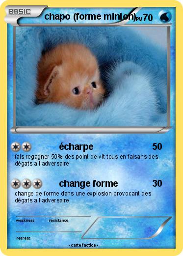 Pokemon chapo (forme minion)