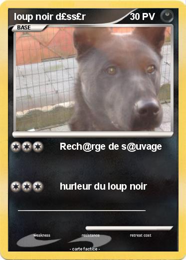 Pokemon loup noir d£ss£r