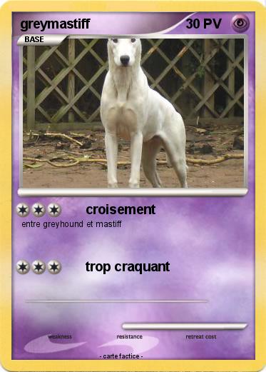 Pokemon greymastiff