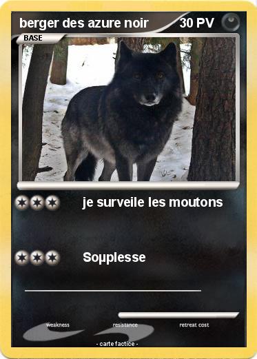 Pokemon berger des azure noir