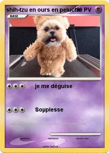 Pokemon shih-tzu en ours en peluche