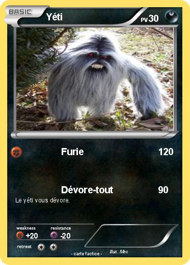 Pokemon Yéti