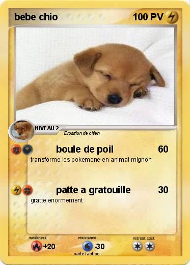 Pokemon bebe chio