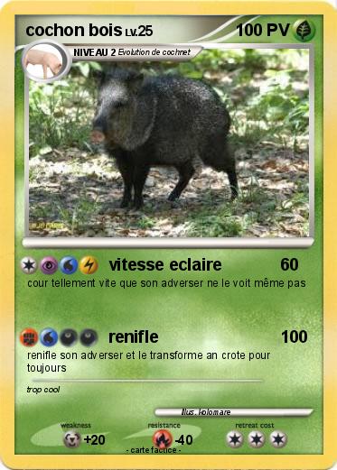 Pokemon cochon bois