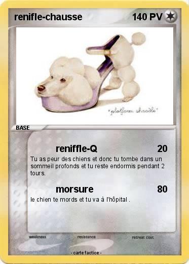 Pokemon renifle-chausse