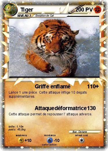 Pokemon Tiger