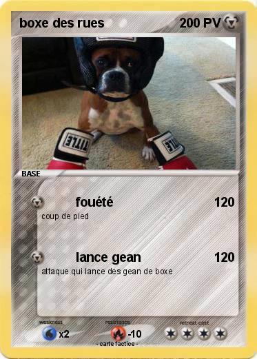 Pokemon boxe des rues