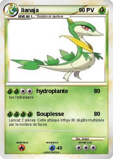 Pokemon lianaja