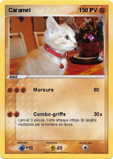 Pokemon Caramel