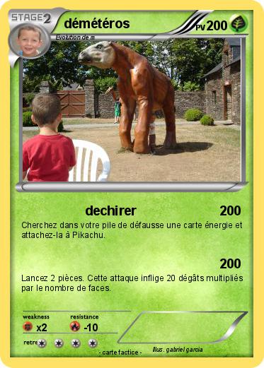 Pokemon démétéros