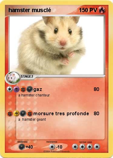 Pokemon hamster musclé