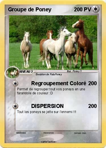 Pokemon Groupe de Poney