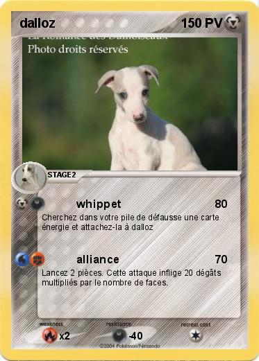 Pokemon dalloz