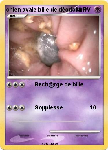 Pokemon chien avale bille de déodorant
