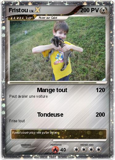 Pokemon Fristou