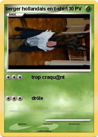 Pokemon berger hollandais en t-shirt