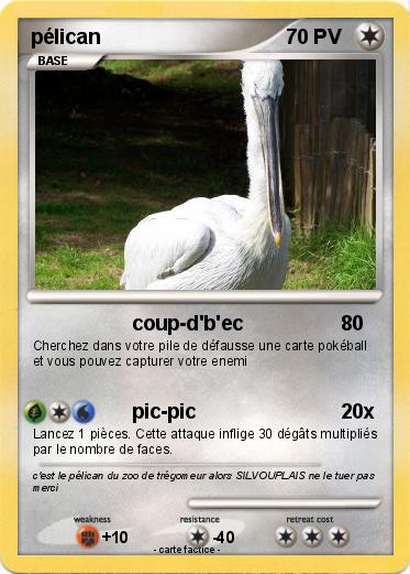 Pokemon pélican