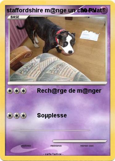 Pokemon staffordshire m@nge un chocolat