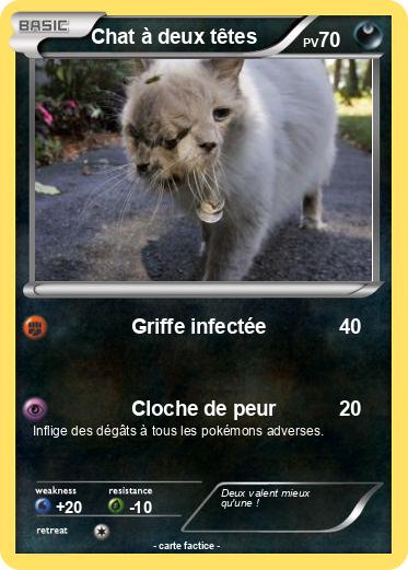 Pokemon Chat à deux têtes