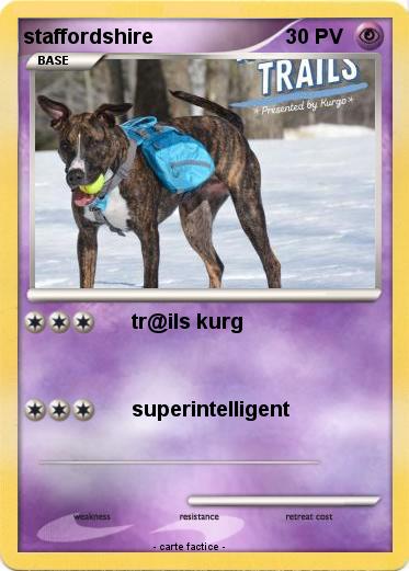 Pokemon staffordshire