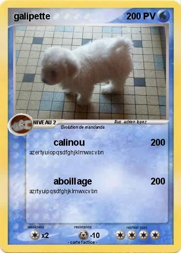 Pokemon galipette