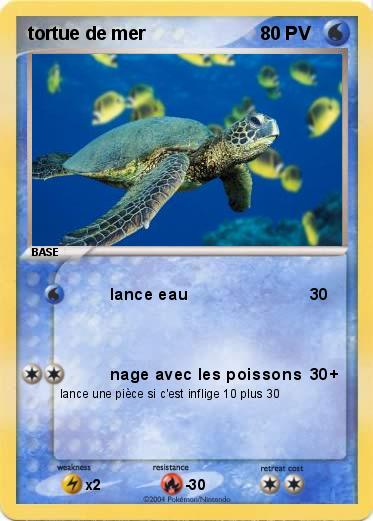 Pokemon tortue de mer          