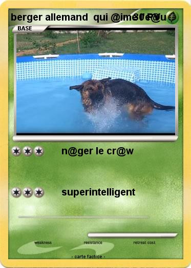 Pokemon berger allemand  qui @ime l'e@u