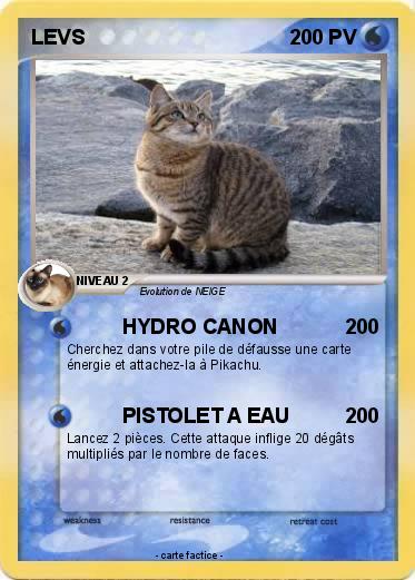 Pokemon LEVS