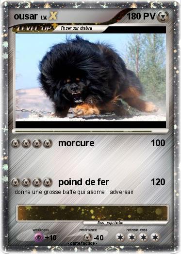 Pokemon ousar