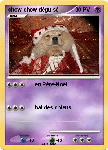 Pokemon chow-chow déguisé