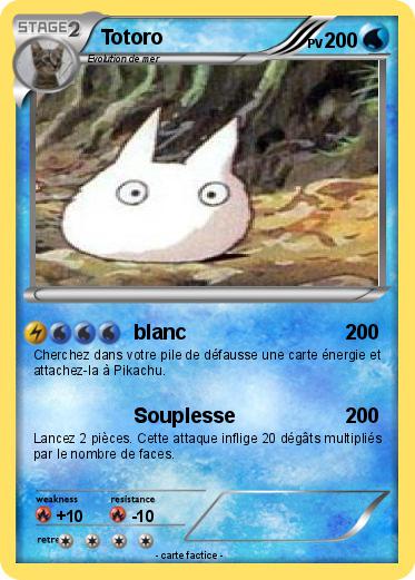 Pokemon Totoro