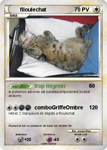 Pokemon filoulechat