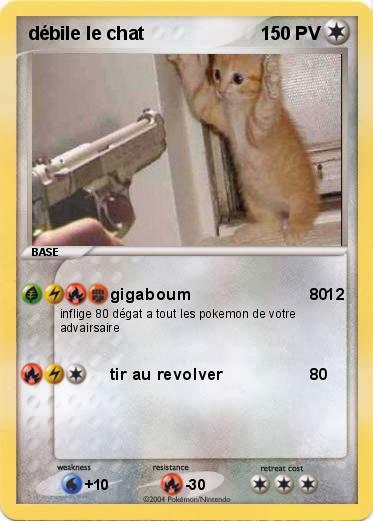 Pokemon débile le chat                                               