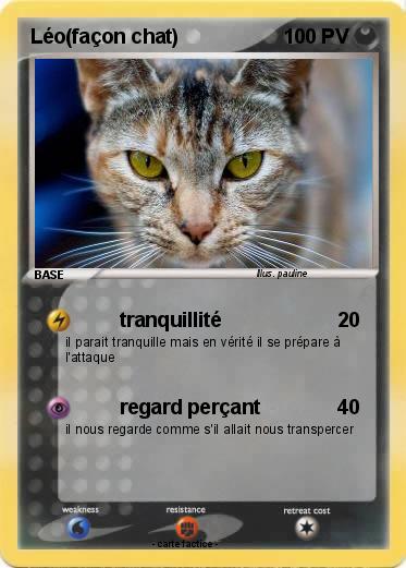 Pokemon Léo(façon chat)