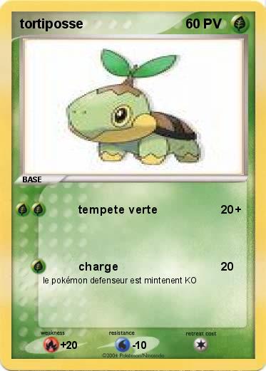 Pokemon tortiposse