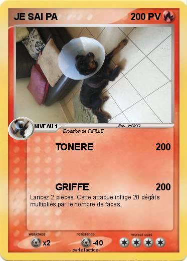 Pokemon JE SAI PA