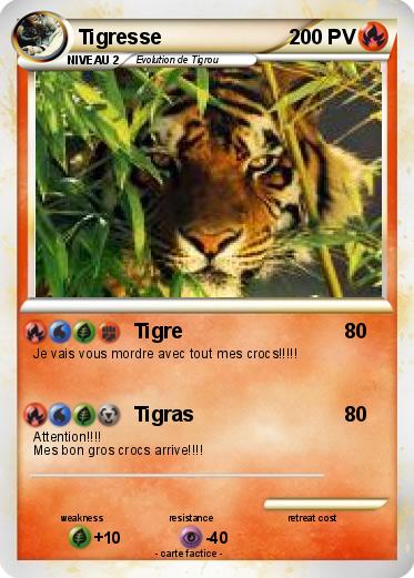 Pokemon Tigresse