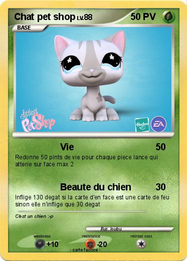 Pokemon Chat pet shop