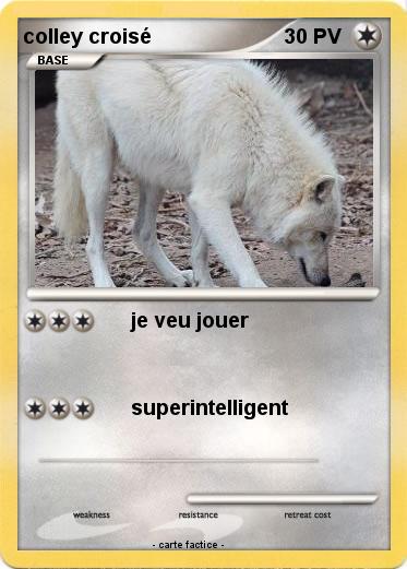 Pokemon colley croisé