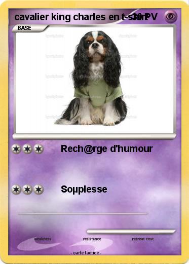 Pokemon cavalier king charles en t-shirt