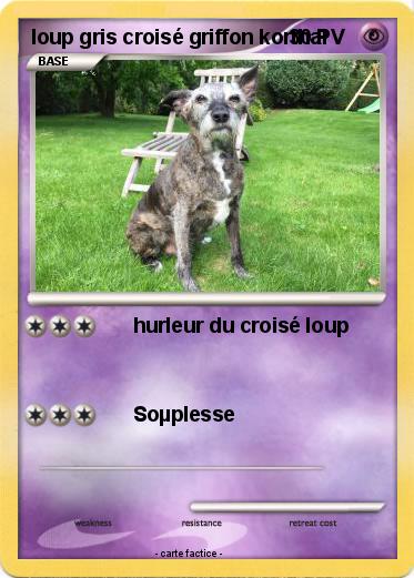 Pokemon loup gris croisé griffon korthal
