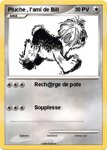 Pokemon Pluche , l'ami de Bill