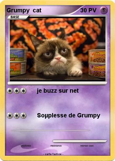 Pokemon Grumpy  cat