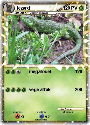 Pokemon lezard