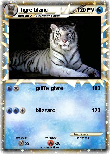 Pokemon tigre blanc