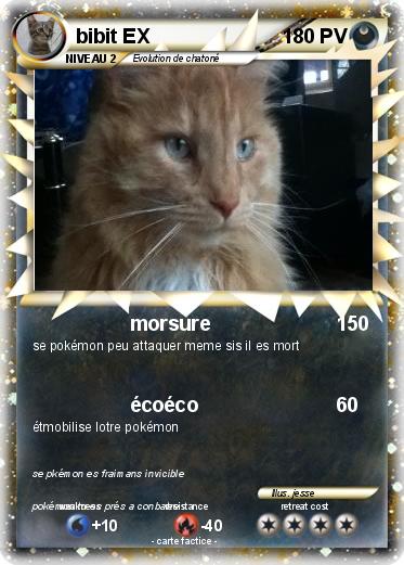 Pokemon bibit EX