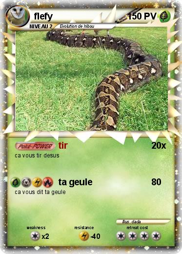 Pokemon flefy